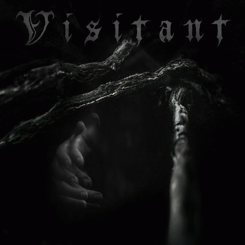 Visitant (USA) : Fodder